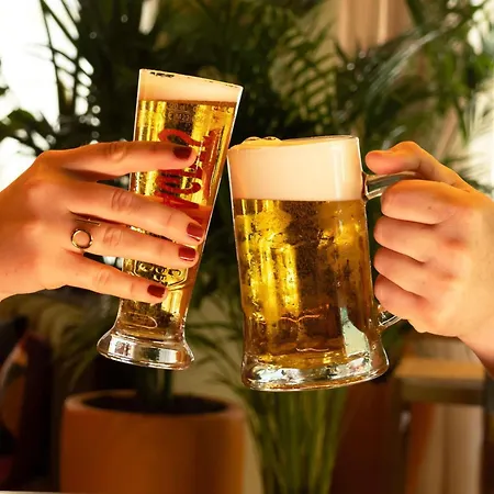 Ibis Parque Nacoes Szálloda 3*