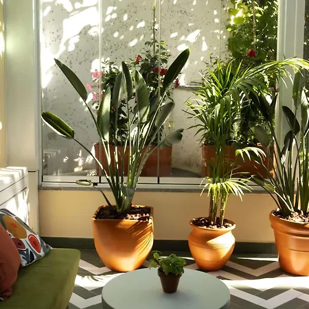 Ibis Parque Nacoes 3* Lissabon
